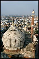 Dome of Jama Masjid mosque and Old Delhi rooftops. New Delhi, India