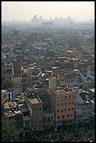 View of Old Delhi from above with high rise skyline in back. New Delhi, India