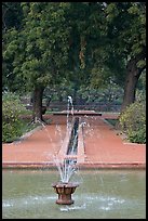 Basin and Mughal-style watercourses, Humayun's tomb. New Delhi, India