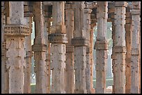 Colons, Qutb complex. New Delhi, India ( color)