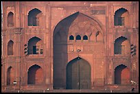 Detail of Jama Masjid East Gate. New Delhi, India (color)