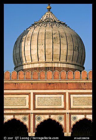 Dome and prayer hall arches, Jama Masjid. New Delhi, India