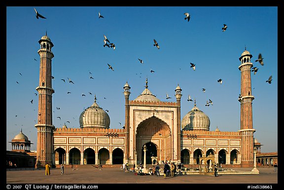 Jama Masjid with pigeons flying. New Delhi, India