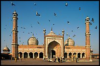 Jama Masjid with pigeons flying. New Delhi, India