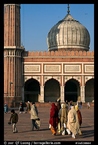 Group of people, courtyard, prayer hall, and dome, Jama Masjid. New Delhi, India