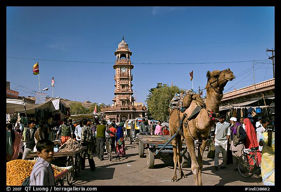 Camel and clock tower in Sardar Market. Jodhpur, Rajasthan, India (color)