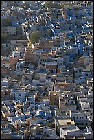 Rooftops of blue houses, seen from above. Jodhpur, Rajasthan, India (color)