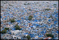 Whitewashed indigo tinted houses seen from above at dusk. Jodhpur, Rajasthan, India ( color)