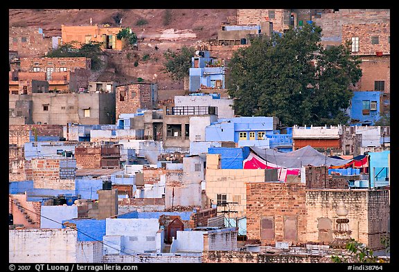 Old quarter houses at dawn. Jodhpur, Rajasthan, India (color)