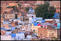 Old quarter houses at dawn. Jodhpur, Rajasthan, India