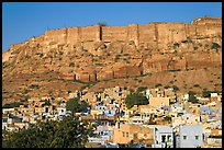 Houses and Mehrangarh Fort, morning. Jodhpur, Rajasthan, India (color)