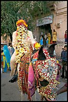 Flower-covered groom riding on horse. Jodhpur, Rajasthan, India