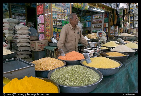 Man in front of grain and spice store, Sardar market. Jodhpur, Rajasthan, India (color)