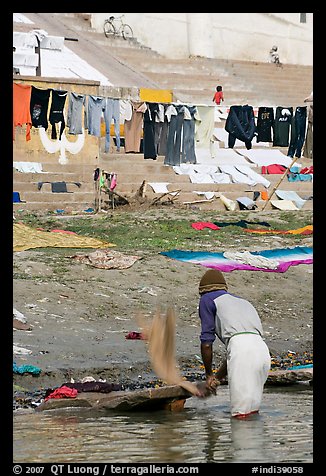 Man beating dirt out of laundry on Ganges riverbank. Varanasi, Uttar Pradesh, India