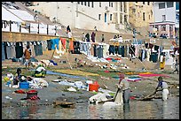 Laundry washed and hanged on Ganges riverbank. Varanasi, Uttar Pradesh, India (color)