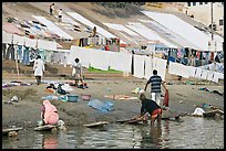 Washing and drying laundry on Ganga riverbank. Varanasi, Uttar Pradesh, India