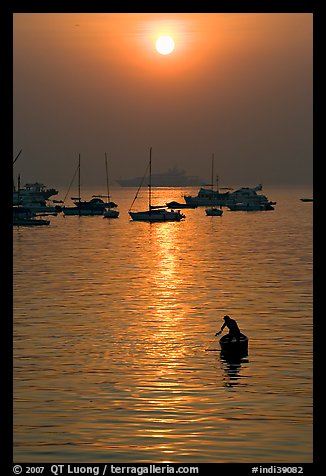 Man fishing from rowboat and anchored yachts, sunrise. Mumbai, Maharashtra, India