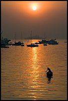 Man fishing from rowboat and anchored yachts, sunrise. Mumbai, Maharashtra, India