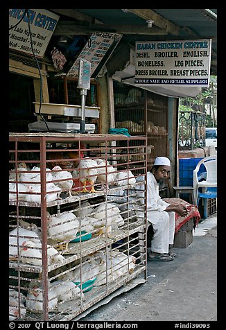 Chicken vendor, Colaba Market. Mumbai, Maharashtra, India