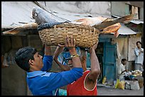 Men unloading basket with huge fish from head, Colaba Market. Mumbai, Maharashtra, India (color)