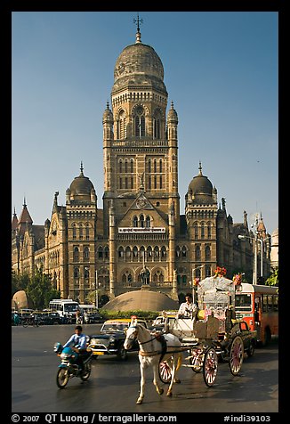 Horse carriage and colonial-area building of Bombay Municipal Corporation. Mumbai, Maharashtra, India