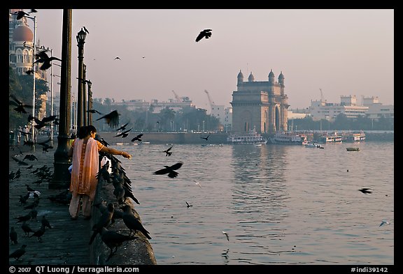 Woman feeding birds, with Gateway of India in background, early morning. Mumbai, Maharashtra, India