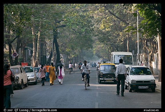 Tree-lined street, Colaba. Mumbai, Maharashtra, India