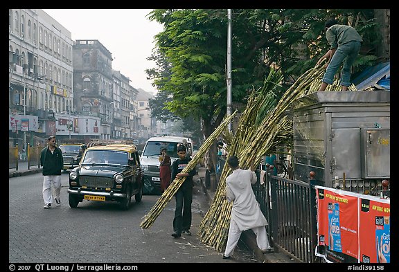 Men loading sugar cane on a street booth. Mumbai, Maharashtra, India (color)