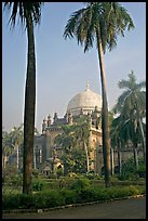 Chhatrapati Shivaji Mahraj Vastu Sangrahalaya gardens. Mumbai, Maharashtra, India (color)