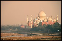 Taj Mahal seen from the Agra Fort. Agra, Uttar Pradesh, India