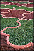 Geometric designs in Anguri Bagh garden, Agra Fort. Agra, Uttar Pradesh, India (color)