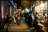 Sacred cow and street by night, Taj Ganj. Agra, Uttar Pradesh, India (color)