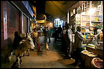 Sacred cow and street by night, Taj Ganj. Agra, Uttar Pradesh, India