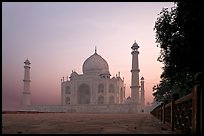 Mausoleum at sunrise, Taj Mahal. Agra, Uttar Pradesh, India