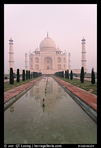 Tomb  reflected in basin, sunrise, Taj Mahal. Agra, Uttar Pradesh, India