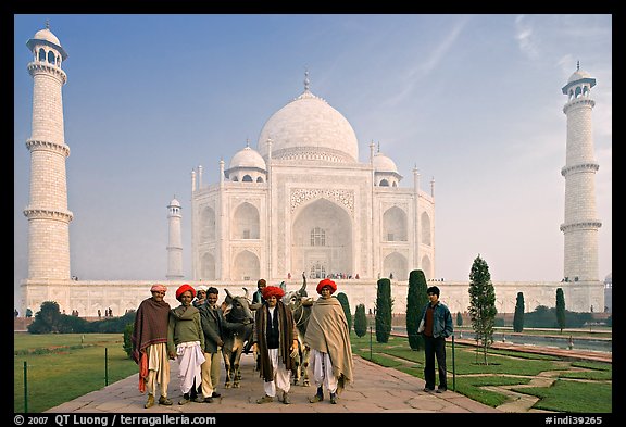 Men with turbans and cows in front of Taj Mahal, early morning. Agra, Uttar Pradesh, India (color)