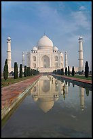Taj Mahal reflected in basin, morning. Agra, Uttar Pradesh, India (color)
