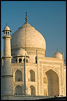 Taj Mahal, late afternoon. Agra, Uttar Pradesh, India