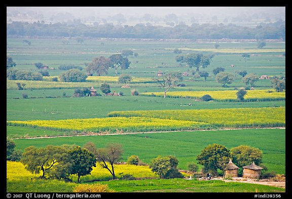 Fields in countryside. Fatehpur Sikri, Uttar Pradesh, India (color)