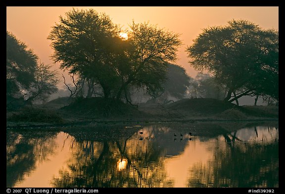 Pond at sunrise, Keoladeo Ghana National Park. Bharatpur, Rajasthan, India