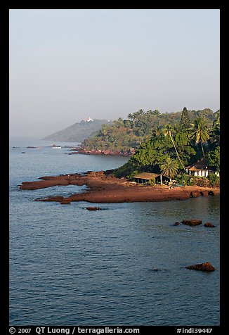 Coastline with palm trees, Dona Paula. Goa, India (color)