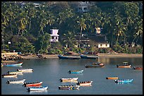 Boats, and palm-tree covered hillside, Dona Paula. Goa, India