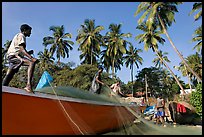 Men mending fishing net with palm trees in background. Goa, India