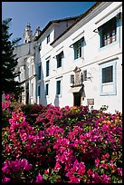 Convent of St Monica and flowers, Old Goa. Goa, India (color)