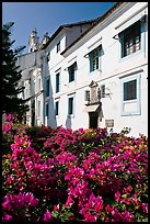 Convent of St Monica and flowers, Old Goa. Goa, India ( color)