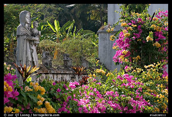 Flowers in yard of Convent of St Monica , Old Goa. Goa, India