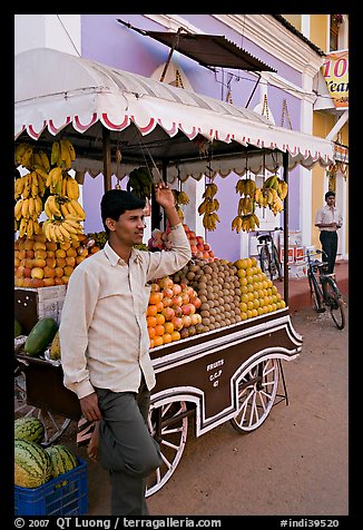 Fruit vendor, Panjim (Panaji). Goa, India