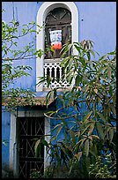 Yard and blue facade, Panaji. Goa, India