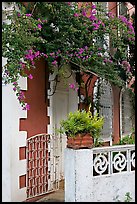 House facade with flowers, Panaji. Goa, India (color)