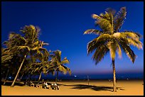 People sitting on bench below palm trees at twilight, Miramar Beach. Goa, India